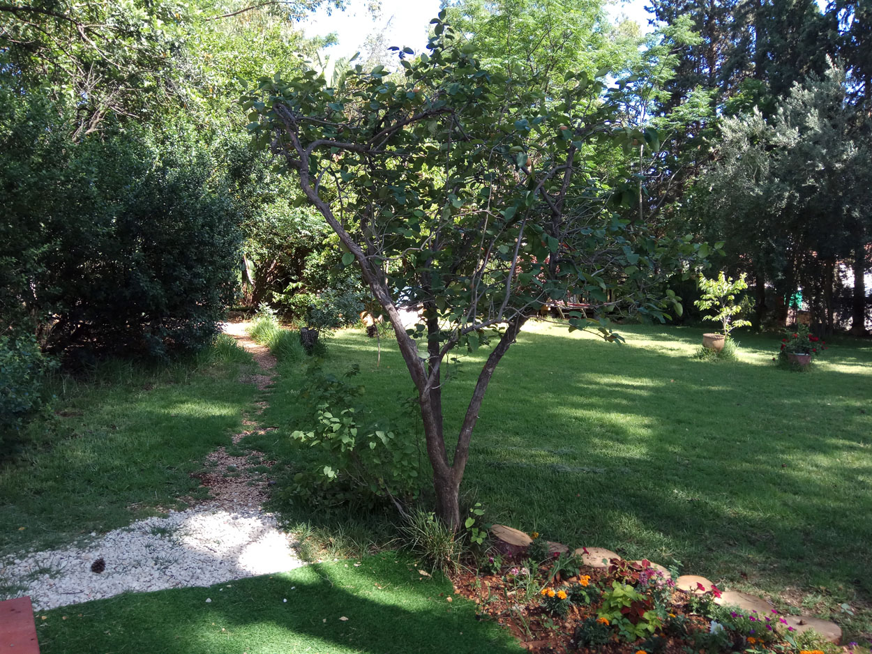 צימרים לפי שעה - חצר קסומה שצופה לנוף הרים