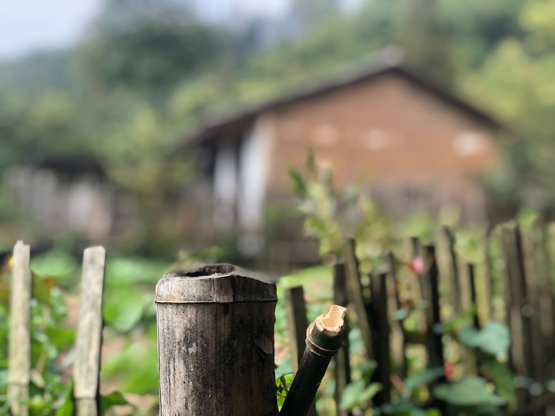 חופשה בקיבוץ: טבע, שקט וחוויה ישראלית מיוחדת