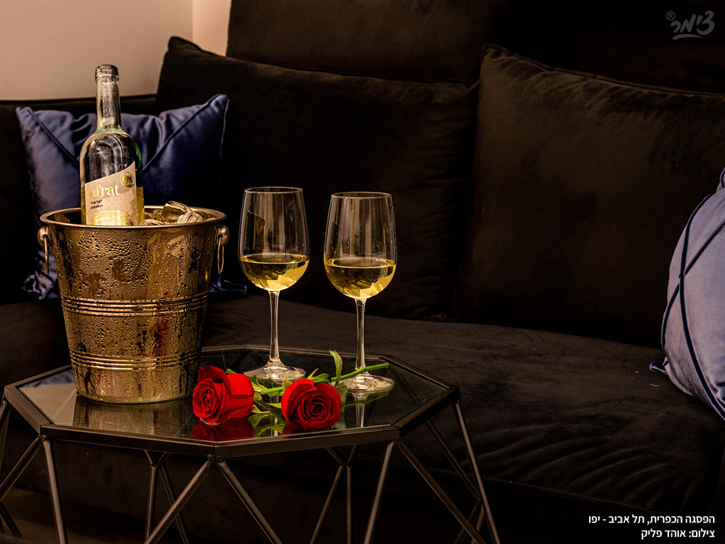 השכרת חדרים לפי שעה בתל אביב - הפסגה הכפרית השכרת חדרים לפי שעה בתל אביב כוס יין